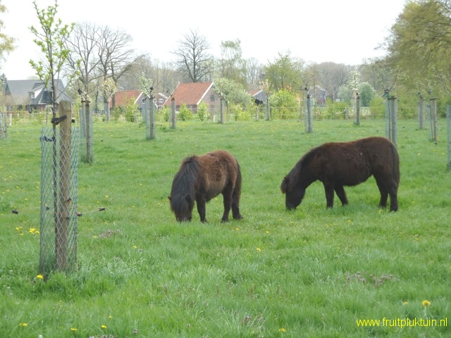 2009
